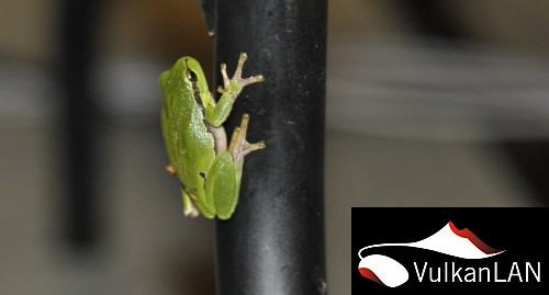 Aufbau halle Besucher vom anderen reich 01